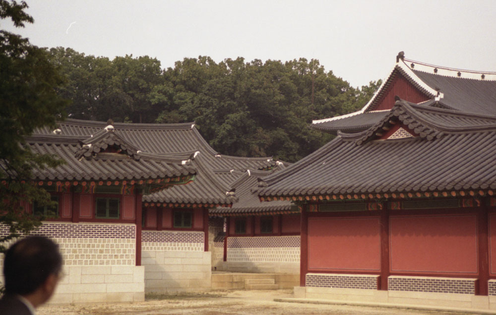 ���� �� ��ä