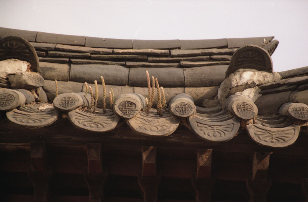 ������ �����ΰ�?