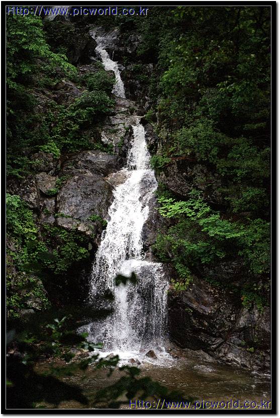 �����⿣ �ʹ� ��ĥ��