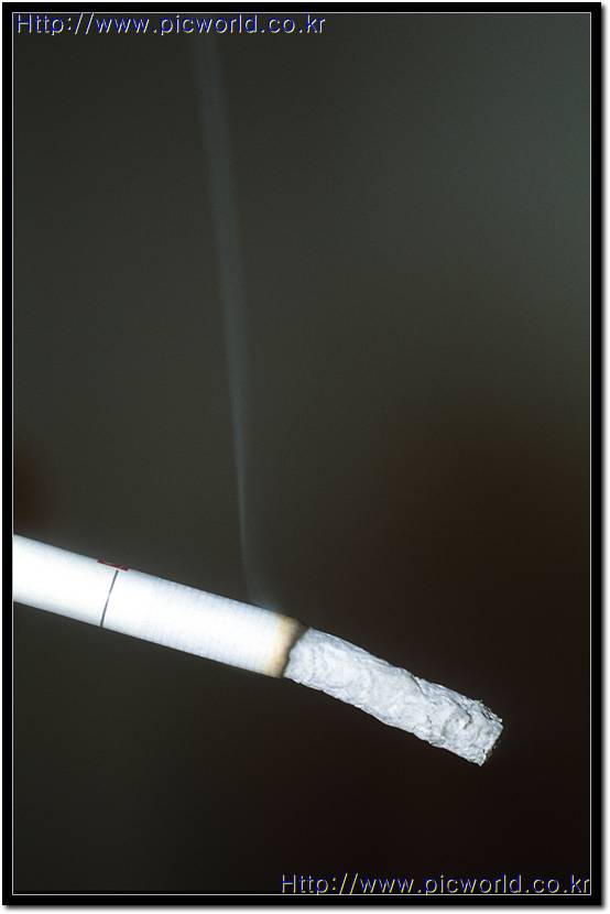 ������ �ƽ����