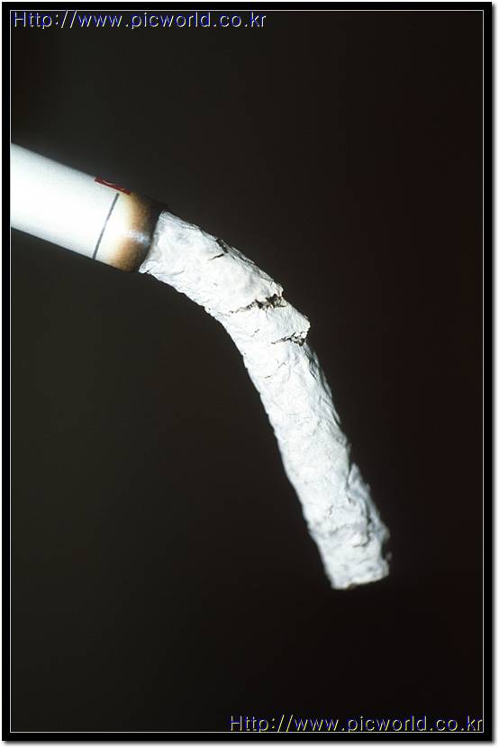 ������ ��ٸ�