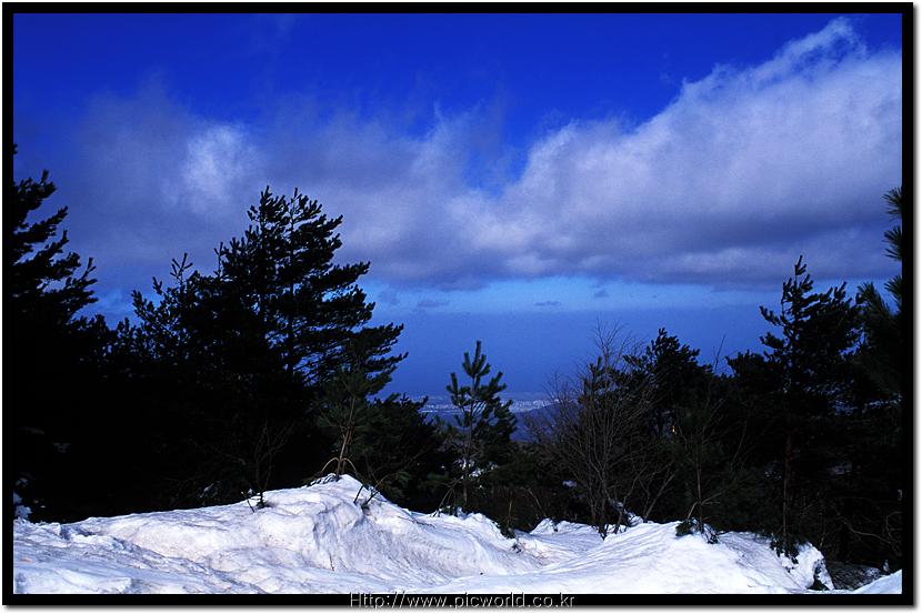 �Ķ� �ϴ���