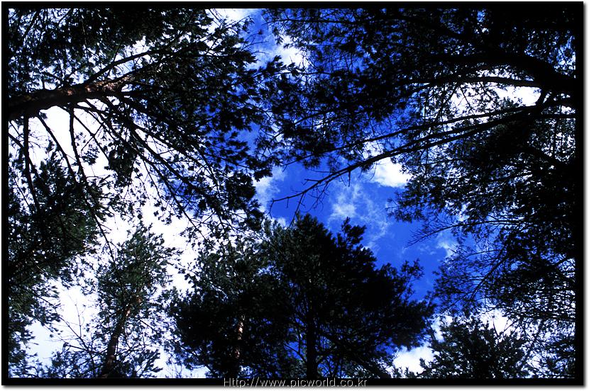 ������ ��� �ϴ��� ����