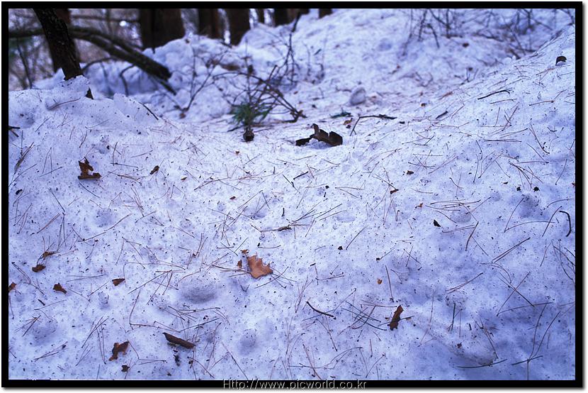 ���� ������