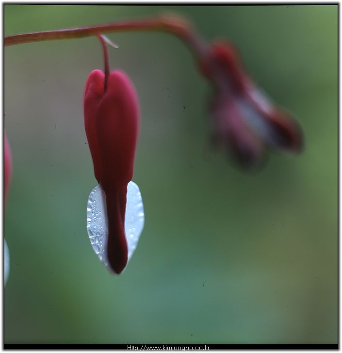 �Ѷ��� ���ο����